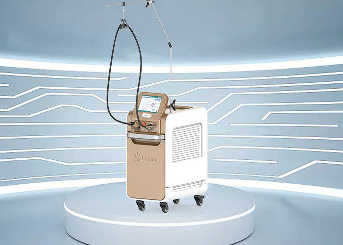 Tragbarer Laser-Haar-Abbau-Maschine 220V des Alexandrite-755nm Wechselstrom mit pp. DI Filter